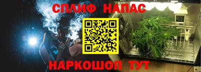 бутират Кингисепп