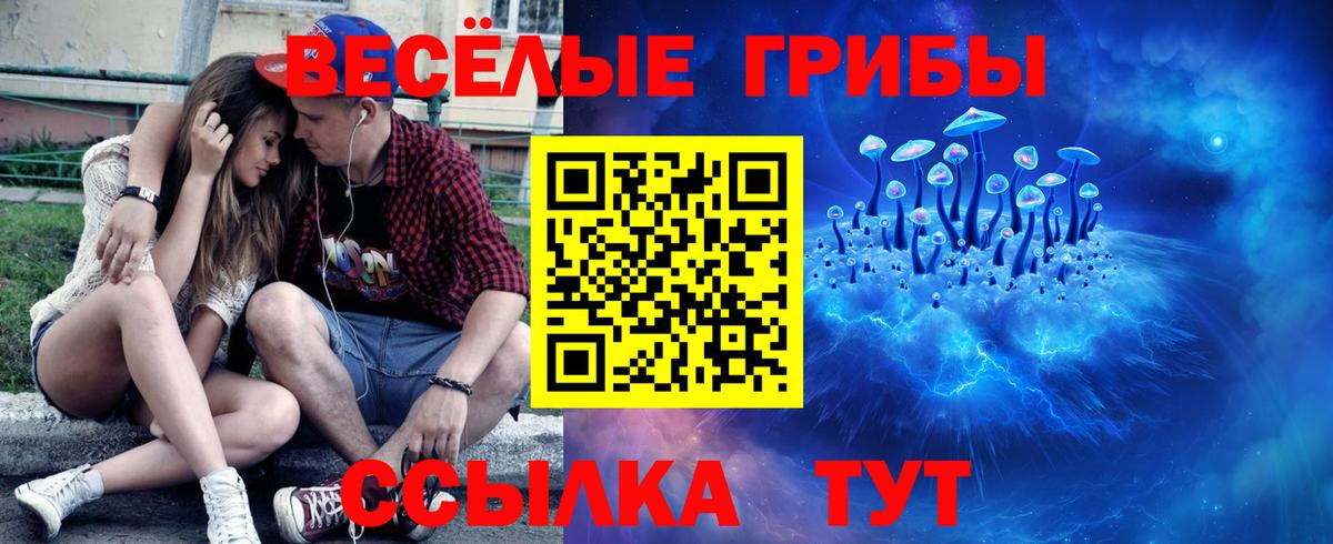 Псилоцибиновые грибы Psilocybine cubensis  Псилоцибиновые грибы мицелий  Вход с VPN  Канаш 