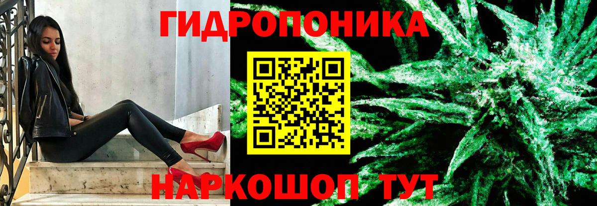 Канабис MAZAR Канаш